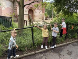 2025-05-20 Biedronki w ZOO
